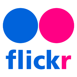 Flickr Video Downloader