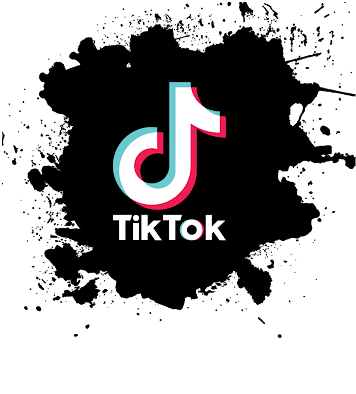 TikTok Video Downloader